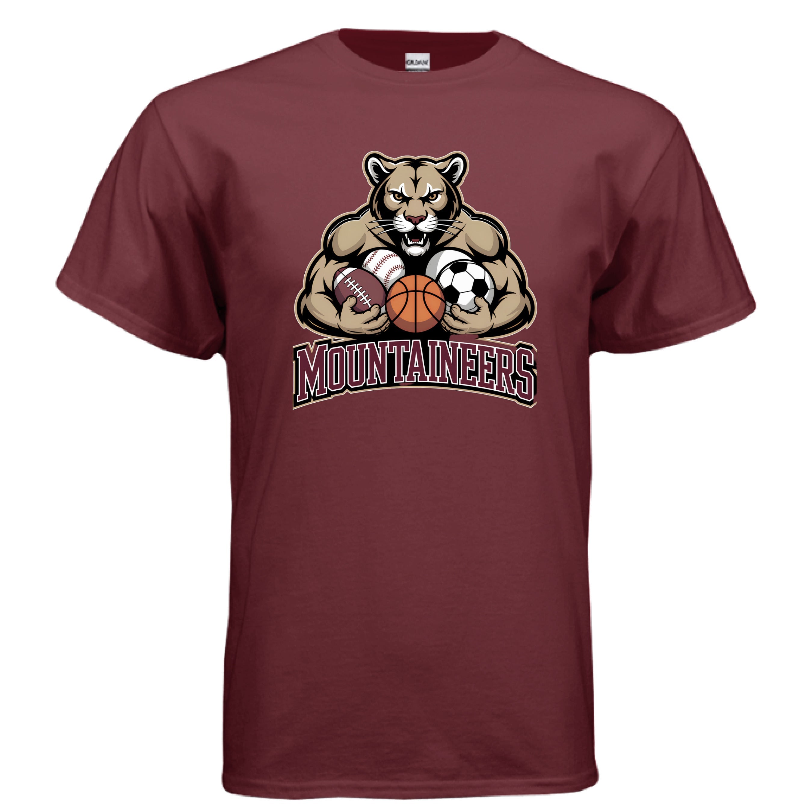 Schreiner University Collection